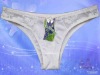woman undergarment clothing grils knickers intimates bustiers