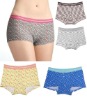 Wholesale 2011 women's Panties