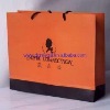 Wholesale OEM beautiful fashional paper garment bag