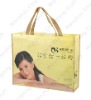 2011 Hot non-woven handbag(CL-B011)