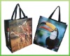PP Woven Bag For Shopping