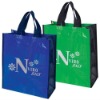PP woven promotion bag