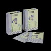 Wholesale SW Shopping Paper Bag