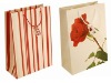 Fashion Gift Paper Bag