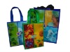 fashion pp woven bag