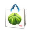 Wholesale pp woven laminated shopping bag