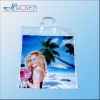 Wholesale Plastic Handle bag /shopping bag