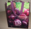 PP laminated nonwoven bag