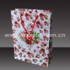 Nice paper gift bag for holiday