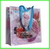 Wholesale 2011 Eco PP Non Woven Bag