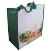 2011 New Handle Non-woven bag
