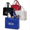 Wholesale 2011 Promotional Non Woven Bag