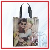 Wholesale delicate pp non woven shopping Bag (ENV-PNV002)