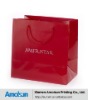 Wholesale shopping paper bag with pp rope