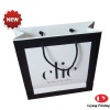 2011 Luxurious Paper Gift bag