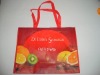 Wholesale 2011 new style non woven recycle bag