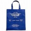 Wholesale Nonwoven Shopping Bag
