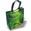 Wholesale non woven food carry bag