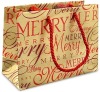 2011 Newly craft shopping paper bag