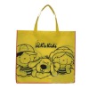 nonwoven bag for shopping & promotion
