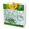 2011 new design High quality pp shopping bag(BS-9990)