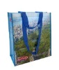 Wholesale 2010 PP Webbing Shopping Bag