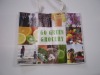 Wholesale PP Non-woven shopping bag