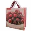 non woven bag