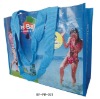 Wholesale 2011 new eco pp woven Bag For Shopping (BS-8801)