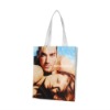 Wholesale 2011 high quality promotional recycl nonwoven shopping bag
