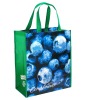 Wholesale PP Laminated Non woven Shopping Bag