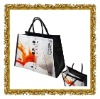 Wholesale 2010 new non-woven bag