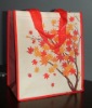 Wholesale non-woven bag JS-EC 05