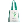 Wholesale Customized Promotional bags