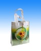 Laminated Supermarket Bag ZC-023