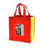 Wholesale 2011 newest PP non woven bag
