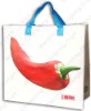 Wholesale Wholesale non-woven bag(CL-B015)