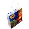 Wholesale PP Non-woven bag