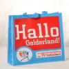 Wholesale non woven bag