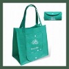 Wholesale 2011 Eco PP non woven bag
