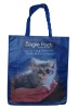 Wholesale fashion nonwoven shopping bag