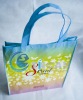 Wholesale composite non-woven bag