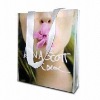 Wholesale 2010 promotion non woven shopper bag