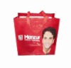 Wholesale 2010 PP woven bag