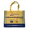 Wholesale 2011 Eco PP Non Woven Bag