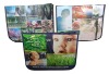 Wholesale Non woven bag