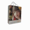 Wholesale pp hand bag