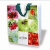 Wholesale pp non woven bag