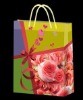 Wholesale pp bag, pp clear bag, pp packing bag, pp shopping bag