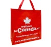 Wholesale Canadian PP shopping bag